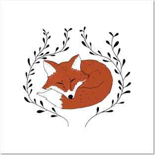 Sleeping fox Posters and Art